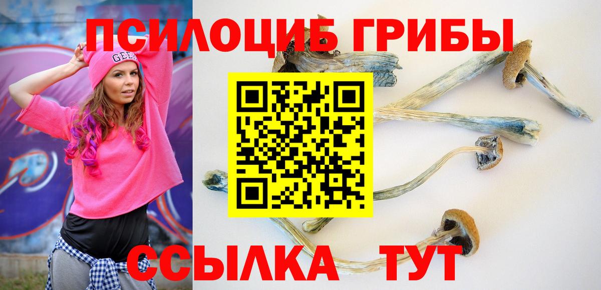 Псилоцибиновые грибы Cubensis  Вход с VPN  Псилоцибиновые грибы прущие грибы  хочу наркоту  Мичуринск 